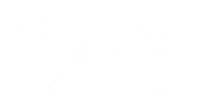 DP World ILT20 logo