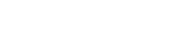 Noble Medical Group logo