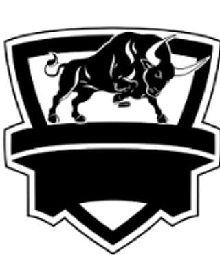 Team logo: a bull on a shield