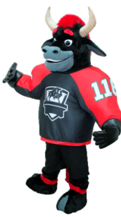 The finished bull costume, front