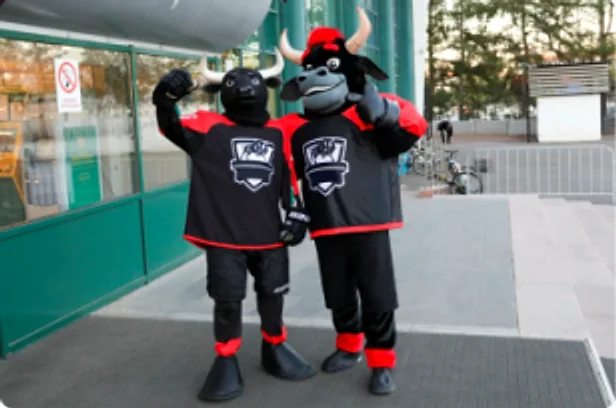 Two team mascots by the entrance