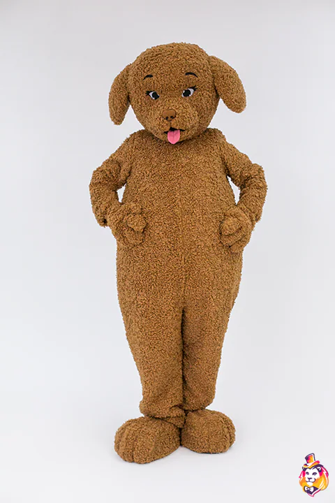 Caniche marrón – traje de mascota