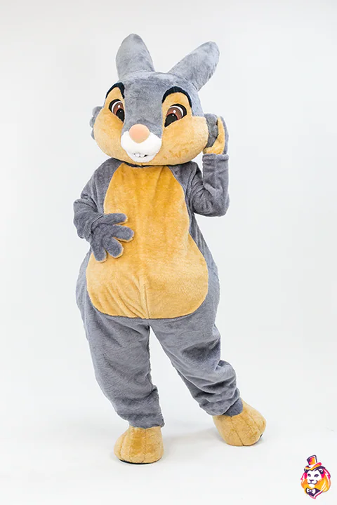 Mascottepak Konijn Dina – vooraanzicht