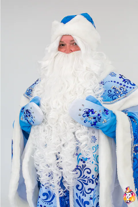 Santa Claus Wig and Beard Set White Wig