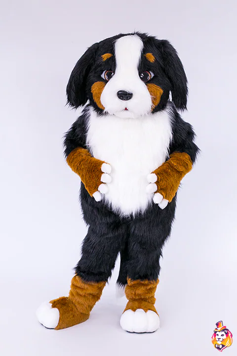Mascottepak Berner sennenhond – vooraanzicht
