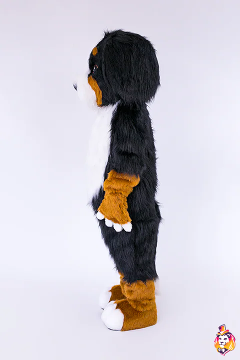 Mascottepak Berner sennenhond – zijaanzicht