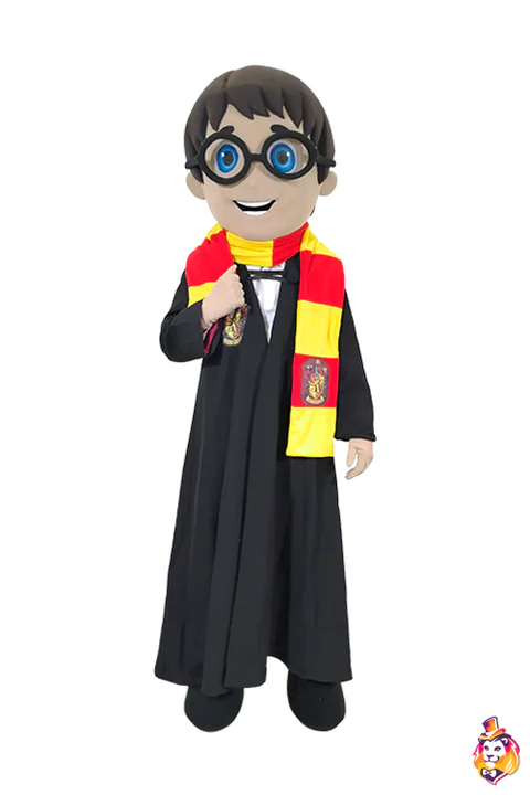 Wizard Boy Mascot Costume