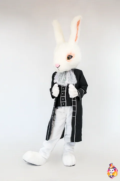 Mascottepak Pluizig konijn