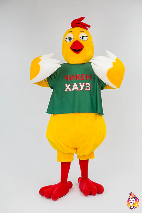 Mascottepak Kuikentje – foto 4