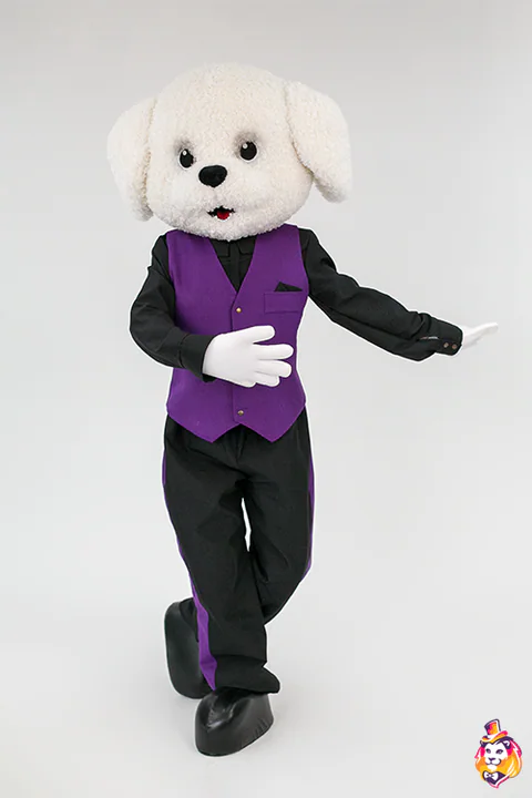 Caniche con traje – traje de mascota