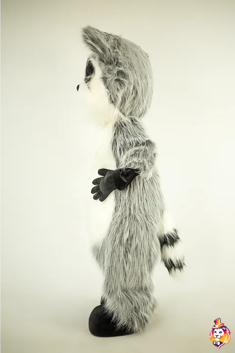 Mapache adorable – traje de mascota, vista lateral
