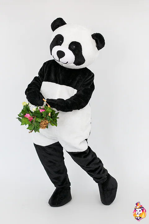 Kostim maskote Panda Robert