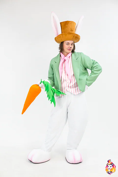 Rabbit Storyteller entertainer costume — photo 4