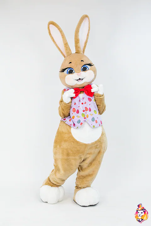 Mascottepak Schattig konijn – foto 4