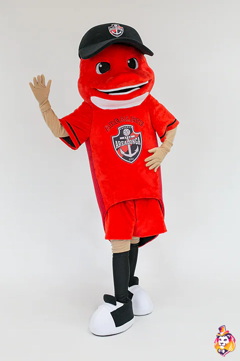 Mascottepak Voetballende vis