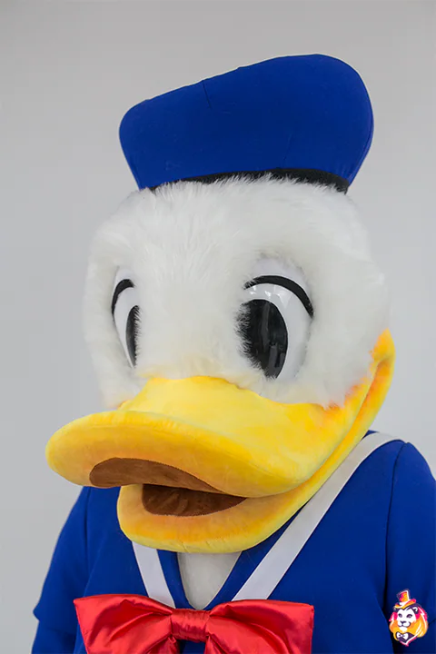 Mascottepak Matrozeneend – detail