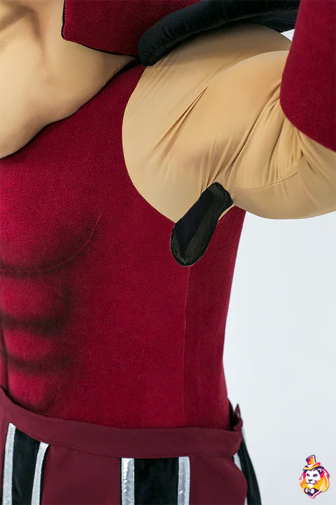 Costum de mascotă Spartan – detaliu