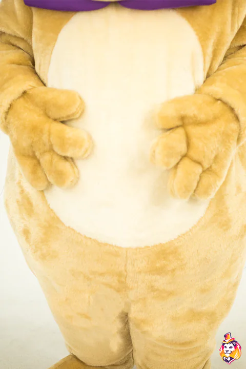Kostým maskota Lev Duha – detail