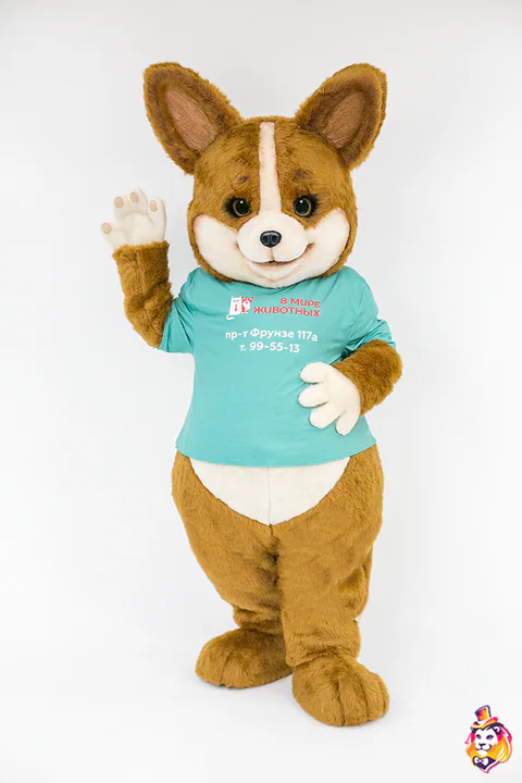 Corgi Tosiek – strój maskotki