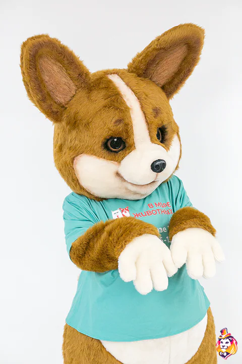 Mascottepak Corgi Toon – detail
