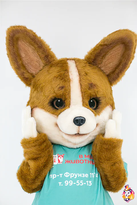 Mascottepak Corgi Toon – detail