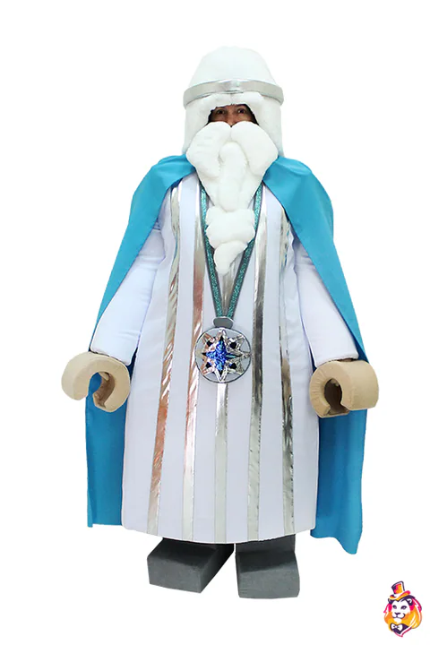 Man Wizard Party Entertainer Costume