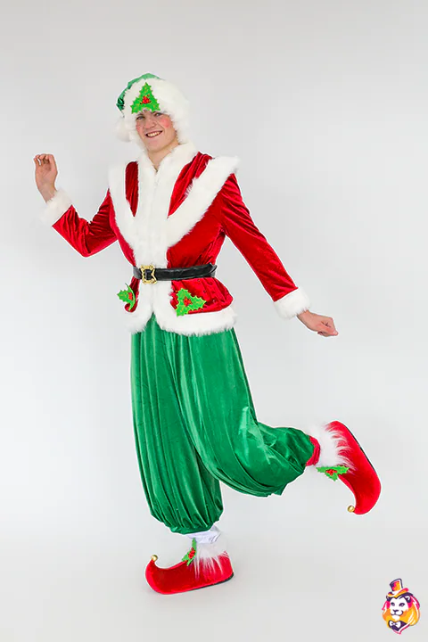 Elf Boy Party Entertainer Costume