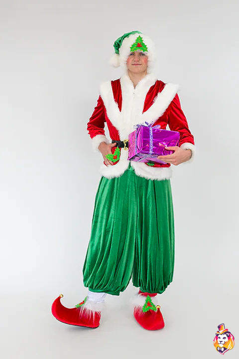 Elf Boy entertainer costume — photo 4