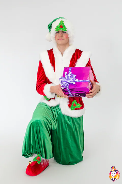 Elf Boy entertainer costume — photo 5