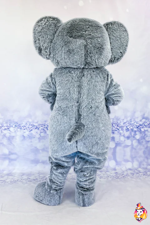 Kostim maskote Koala – pogled straga