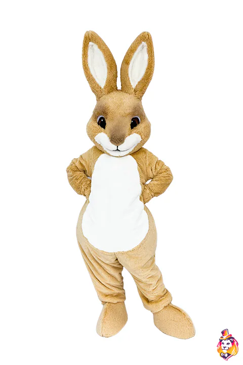 Rabbit Robbie mascot costume — front view
