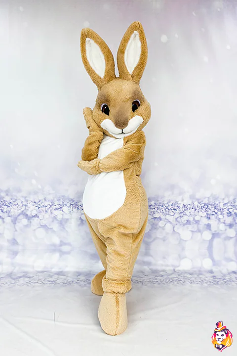 Rabbit Robbie mascot costume — front view