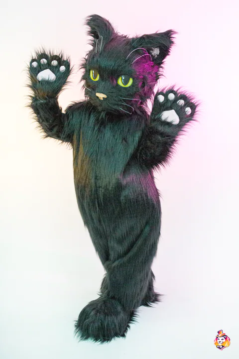黒ねこの着ぐるみ