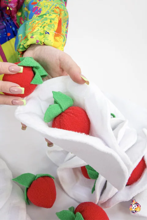 Dumplings with Strawberries Party Prop