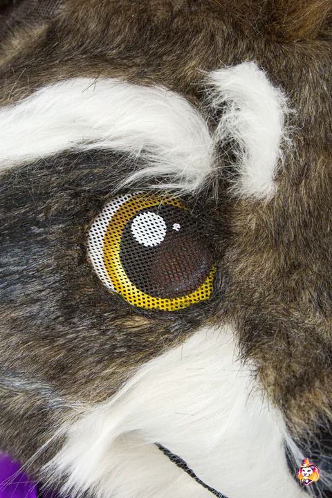 Waschbär Cosmo – Maskottchen-Kostüm, Detail