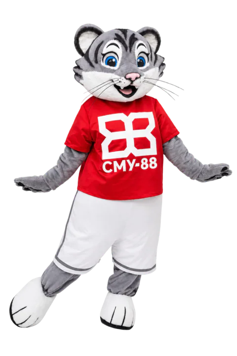 Mascottepak Sportieve grijze kater