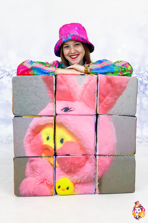 Cubes puzzle Canard — vue de face