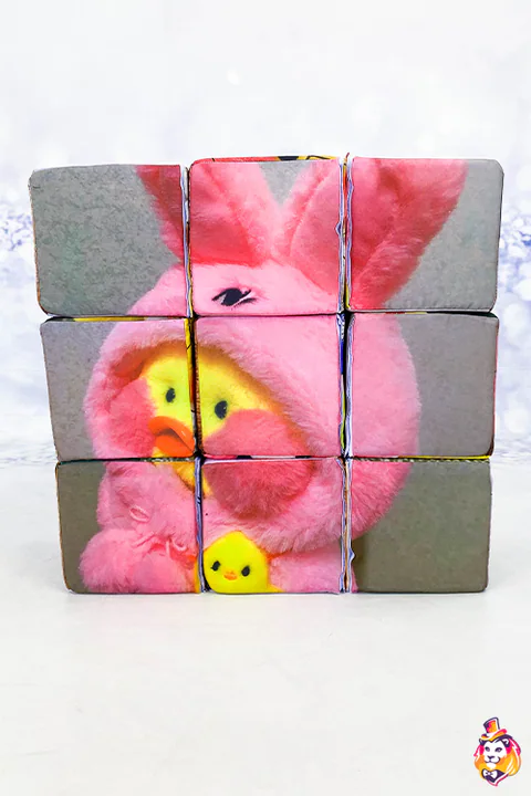Cubes puzzle Canard — détail