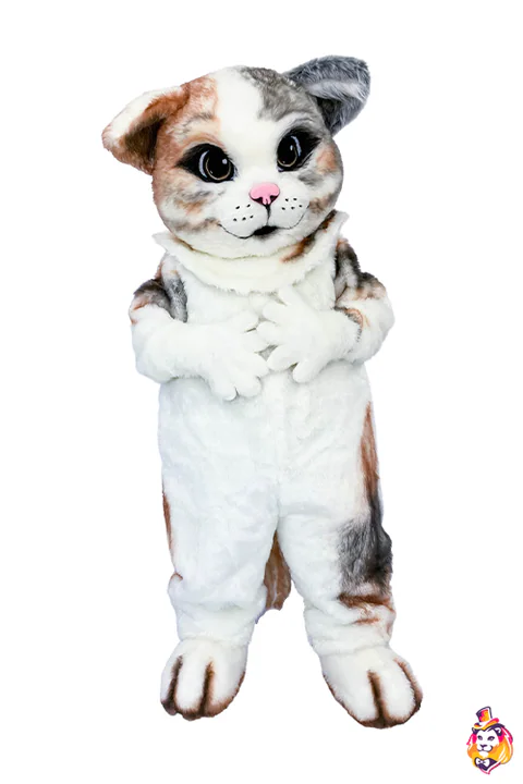 Mascottepak Kater Marshmallow – vooraanzicht