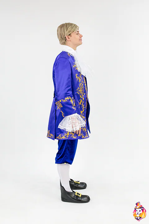 Enchanted Prince entertainer costume — side view