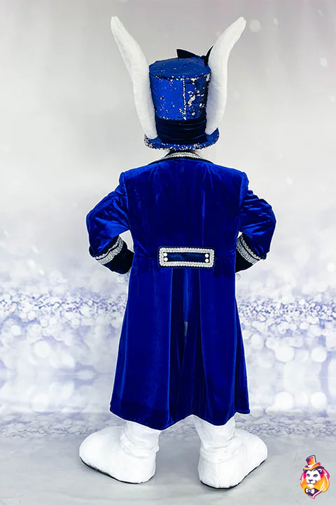 תחפושת ארנב גנדרן – מבט מאחור
