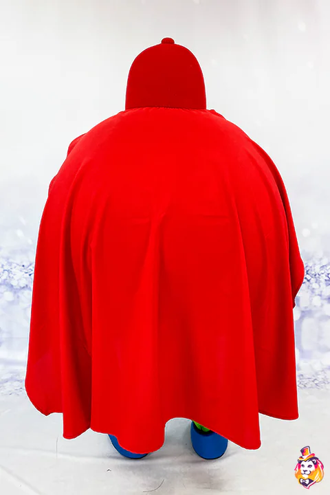 Piłka – strój maskotki, widok z tyłu